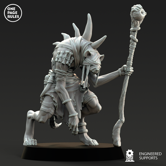 shaman