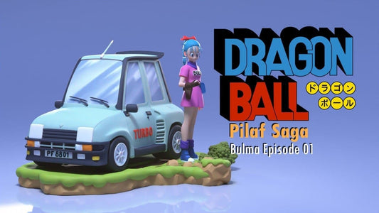 BULMA PILAF SAGA